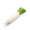 DAIKON (LO BOK)