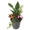 PLANT TROPICAL 10CM ASSORTED