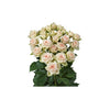 FLOWER - ROSE SPRAY BOUQUET (ASSORTED COLORS)