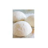 HOLY NAPOLI PIZZA DOUGH 300G (FROZEN)