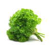 PARSLEY CURLY